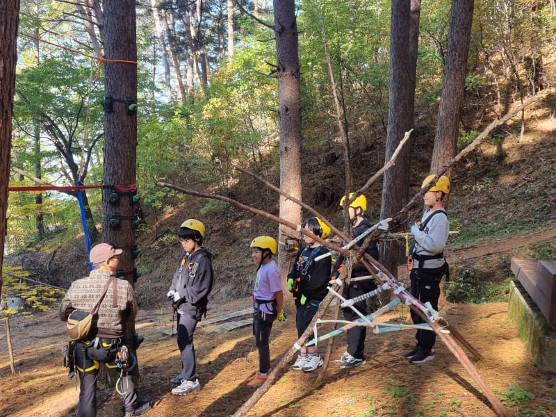 2024.10.26.신나는 토요일 숲에서 놀자! 사진